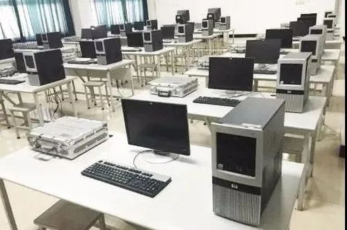 计算机软硬件系统的研究、设计、开发与维护能力及销售技术咨询